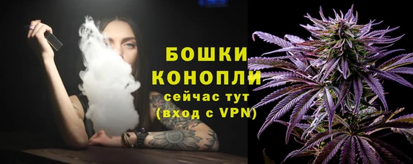 амф Медногорск