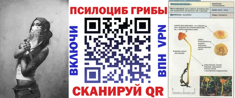 Галлюциногенные грибы мухоморы  наркотики  Ува 